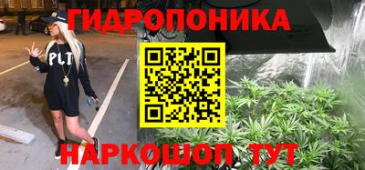гашик Берёзовский