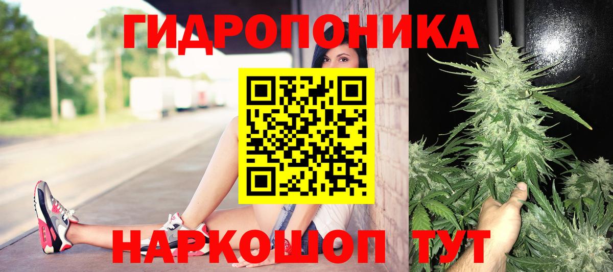 Бошки марихуана Ganja  Вход с VPN  Конопля SATIVA & INDICA  Конопля гибрид  Марихуана план  Заволжье 